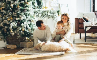 Boiler vs Furnace: Which Is Better for Your Ottawa Home?